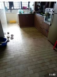 Blk 178 Bukit Batok West Avenue 8 (Bukit Batok), HDB 3 Rooms #637260041